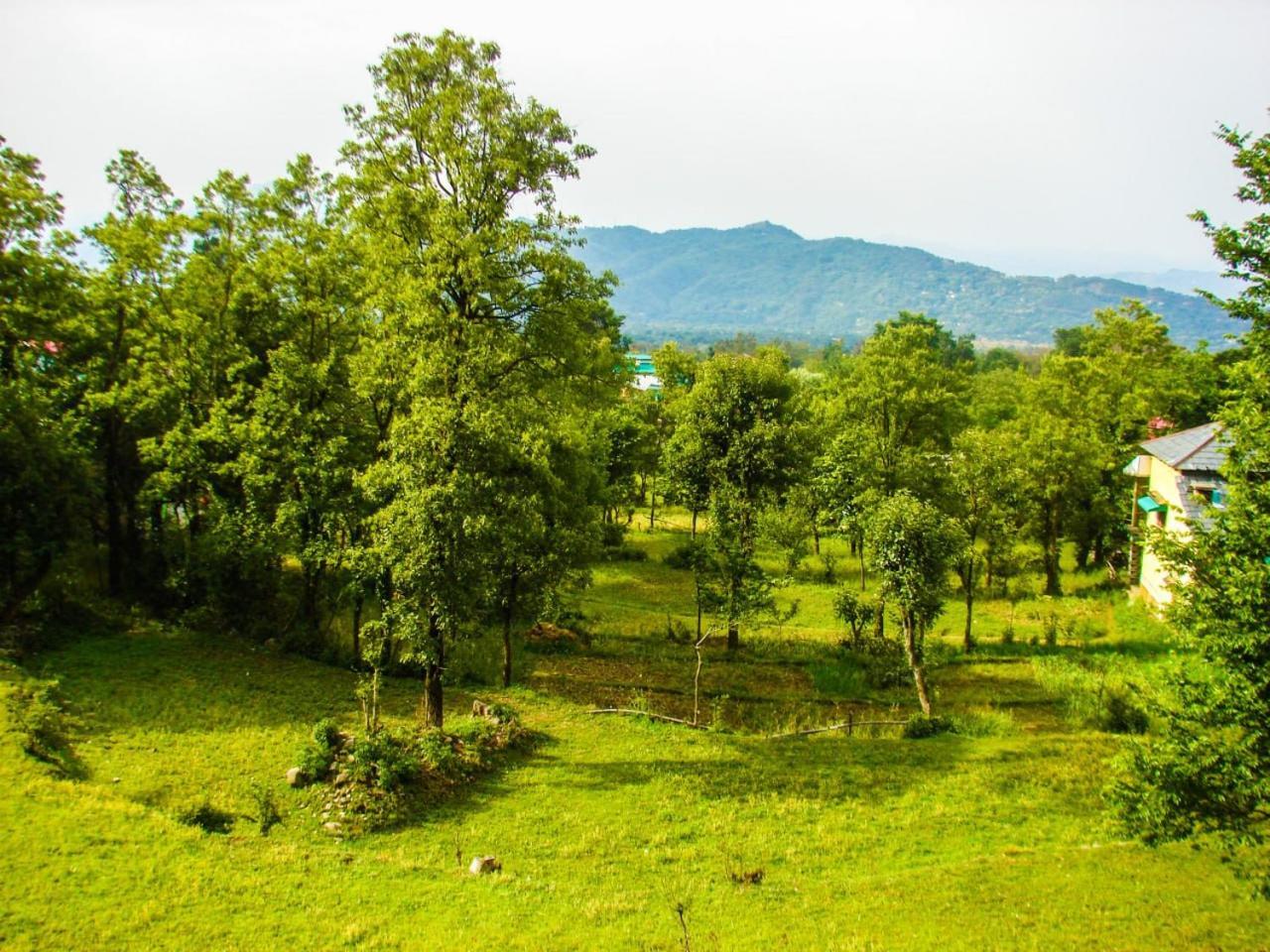 Travelodge Homestay Bīr Dış mekan fotoğraf
